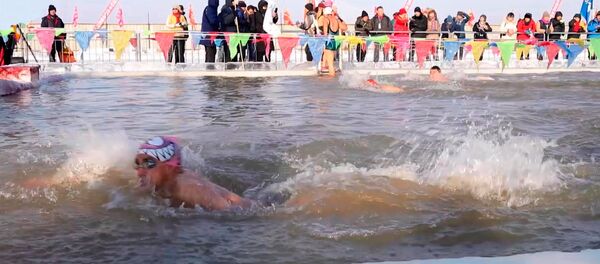 中俄美冬泳选手相聚哈尔滨国际邀请赛 - 俄罗斯卫星通讯社