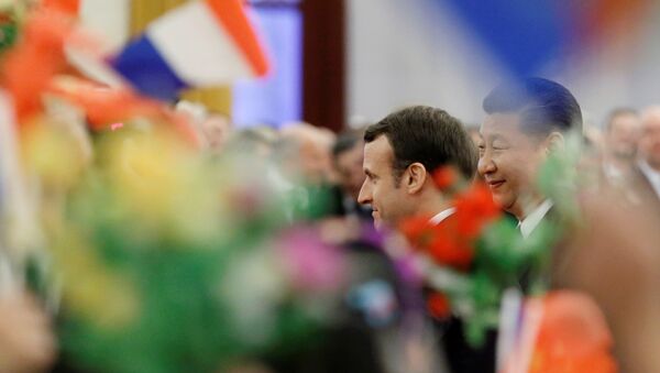 法國支持中國一帶一路倡議 - 俄羅斯衛星通訊社