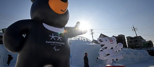 朝韩就有关朝鲜运动员参加平昌冬奥会达成共识 - 俄罗斯卫星通讯社