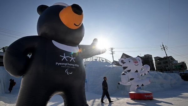 朝韩就有关朝鲜运动员参加平昌冬奥会达成共识 - 俄罗斯卫星通讯社
