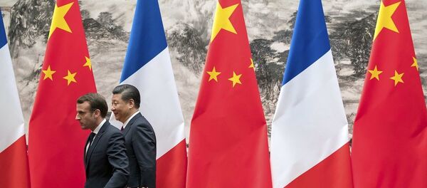 马克龙：法中认为气候变化是全球共同面临的主要挑战之一 - 俄罗斯卫星通讯社