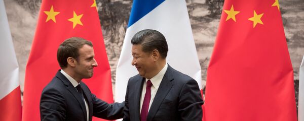 法国总统马克龙1月9日与中国国家主席习近平会谈 - 俄罗斯卫星通讯社