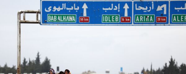 叙利亚 - 俄罗斯卫星通讯社