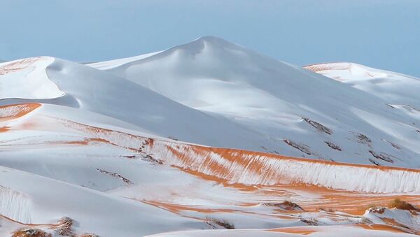 撒哈拉沙漠已连续两年出现降雪 - 俄罗斯卫星通讯社