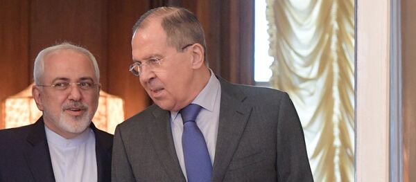 俄外长称伊核全面协议相关局势堪忧 - 俄罗斯卫星通讯社