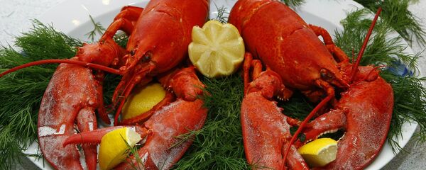 瑞士将修改法律保障龙虾无痛死亡权利 - 俄罗斯卫星通讯社