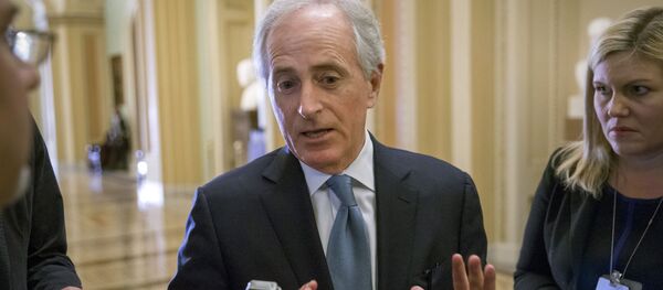 鲍勃•科克 鲍勃•科克 - 俄罗斯卫星通讯社