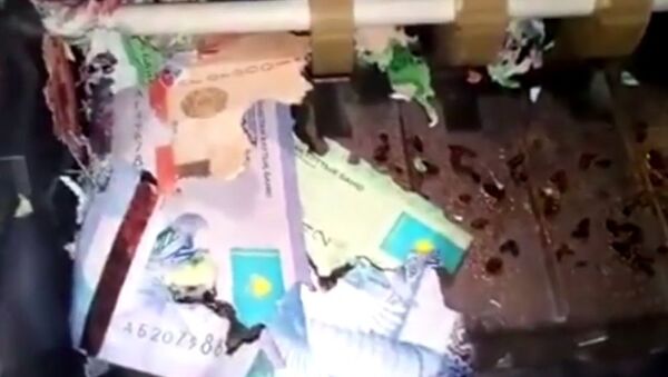哈萨克斯坦自动取款机里的钞票被老鼠咬破 - 俄罗斯卫星通讯社