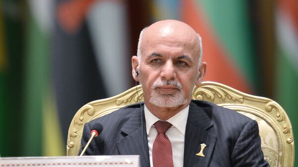 阿富汗总统加尼 - 俄罗斯卫星通讯社