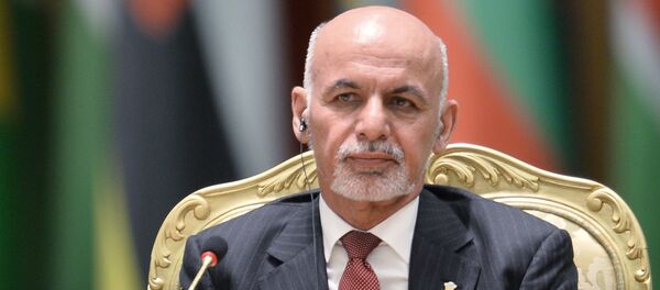 阿富汗总统加尼 - 俄罗斯卫星通讯社