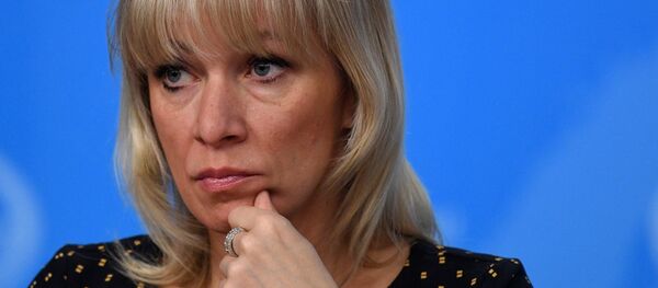 俄罗斯外长年度记者会 - 俄罗斯卫星通讯社