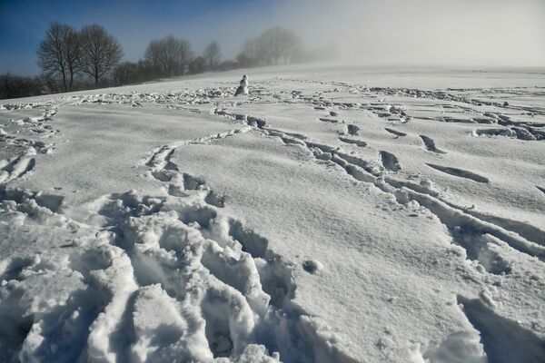 西班牙北部雪地上的雪人 - 俄羅斯衛星通訊社
