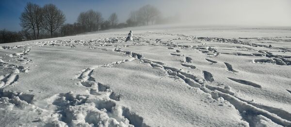 西班牙50多條公路因降雪被封 - 俄羅斯衛星通訊社