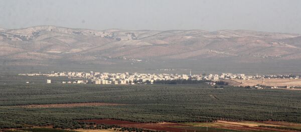 敘利亞阿夫林地區 - 俄羅斯衛星通訊社