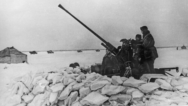 俄羅斯成功試射在新地島發現的1927年產高射炮 - 俄羅斯衛星通訊社