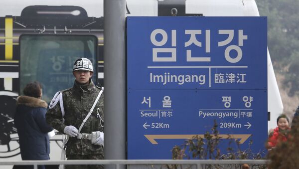 韓國再度拒絕遣返脫北女服務員 - 俄羅斯衛星通訊社