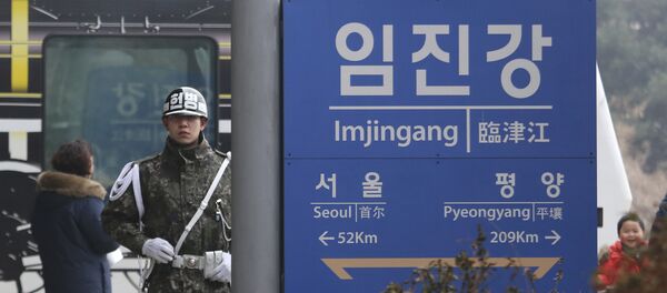 韓國再度拒絕遣返脫北女服務員 - 俄羅斯衛星通訊社