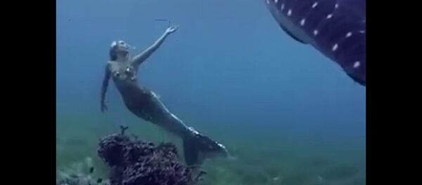 这是真的美人鱼吗？ - 俄罗斯卫星通讯社