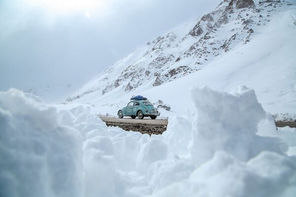 兩名巴西人將駕駛老式甲克蟲在俄羅斯世界杯期間旅行 - 俄羅斯衛星通訊社