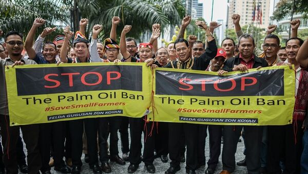 媒體：馬來西亞兩千多油棕園主在歐盟代表處前舉行抗議 - 俄羅斯衛星通訊社
