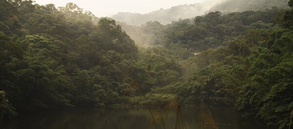 地震 地震 - 俄羅斯衛星通訊社