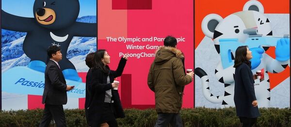 朝鲜计划派遣230人规模后援团参加平昌冬奥会 - 俄罗斯卫星通讯社