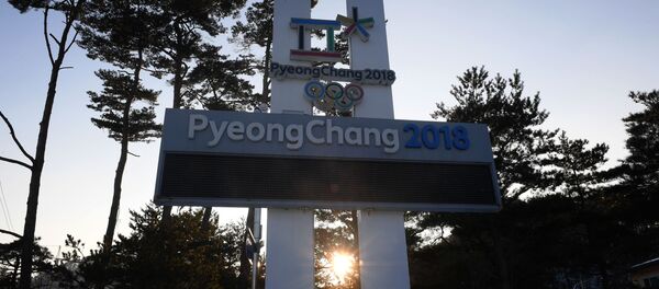 平昌冬奥会上不排除发生挑衅事件 但一切都会好转 - 俄罗斯卫星通讯社
