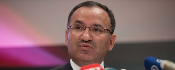 土耳其副总理博兹达 - 俄罗斯卫星通讯社