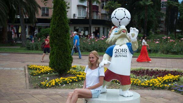 2018年世界杯期間索契預計接納百餘萬遊客 - 俄羅斯衛星通訊社