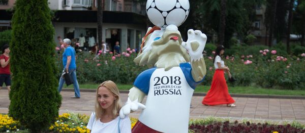 2018年世界杯期间索契预计接纳百余万游客 - 俄罗斯卫星通讯社