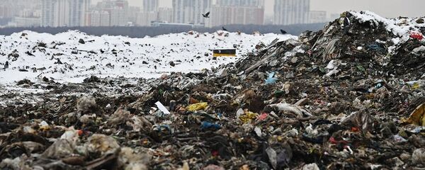 俄紧急情况部：莫斯科郊区库奇诺垃圾填埋场出现硫化氢浓度超标情况 - 俄罗斯卫星通讯社
