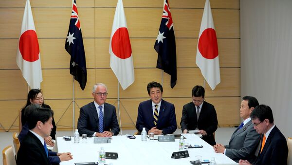 专家：日本、澳大利亚迈出与中国关系恶化的步骤 - 俄罗斯卫星通讯社