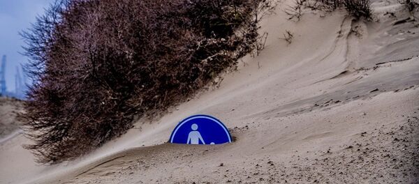 媒体：飓风或给荷兰带来至少9000万欧元损失 - 俄罗斯卫星通讯社