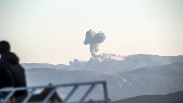 土耳其空军开始空袭阿夫林地区库尔德武装 - 俄罗斯卫星通讯社