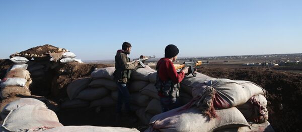 土耳其防長：該國在阿夫林展開軍事行動以來已有5名土軍人死亡 - 俄羅斯衛星通訊社