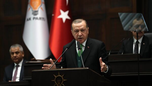 土耳其總統譴責美以破壞敘利亞局勢 - 俄羅斯衛星通訊社