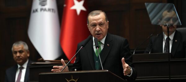 土耳其總統譴責美以破壞敘利亞局勢 - 俄羅斯衛星通訊社