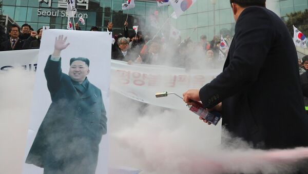 首尔示威者烧毁朝鲜国旗及其领导人金正恩的照 - 俄罗斯卫星通讯社