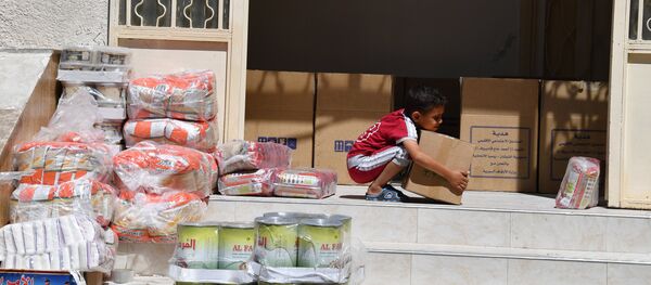 叙利亚北部数个人道主义援助发放点启动 - 俄罗斯卫星通讯社