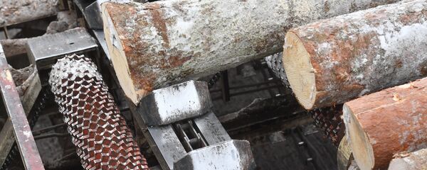 木材 - 俄羅斯衛星通訊社