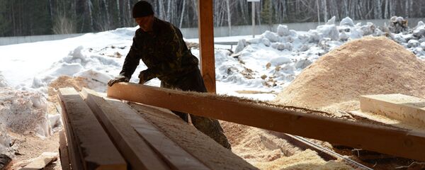 Заготовка леса в Новосибирской области - 俄罗斯卫星通讯社