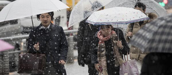 日本强降雪 - 俄罗斯卫星通讯社