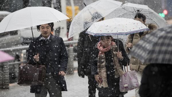 日本强降雪 - 俄罗斯卫星通讯社