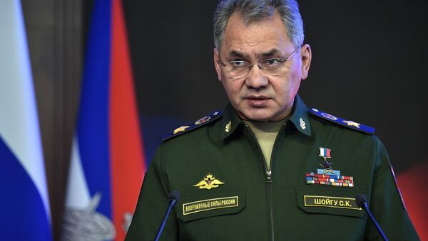 俄防长：叙伊德利卜省境内不会展开军事行动 - 俄罗斯卫星通讯社