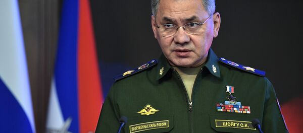 Министр обороны РФ Сергей Шойгу - 俄罗斯卫星通讯社