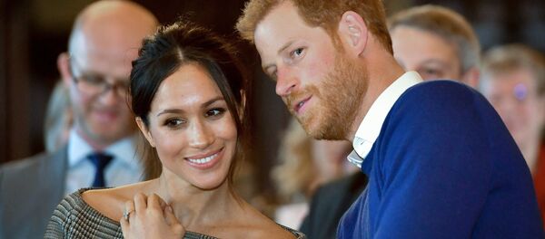 哈里王子為避醜聞未邀奧巴馬和特朗普出席婚禮 - 俄羅斯衛星通訊社