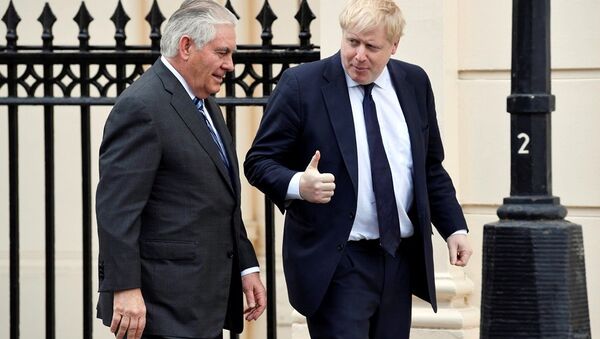 美国国务卿与英国外长就国际热点问题进行讨论 - 俄罗斯卫星通讯社