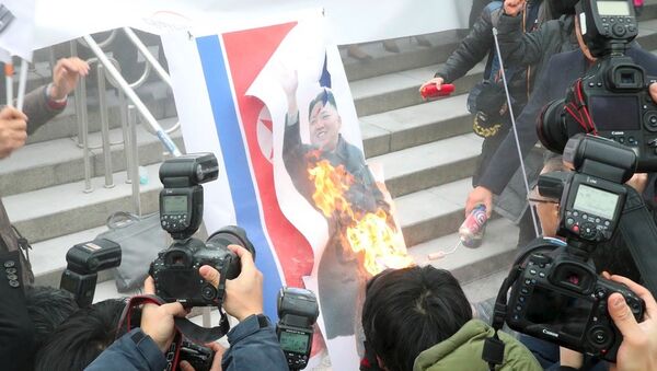 韩国抗议人烧毁朝鲜国旗和金正恩照片 - 俄罗斯卫星通讯社