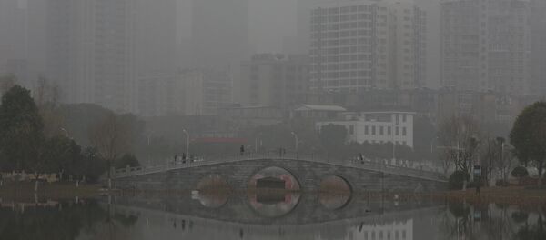 中国北方积极与雾霾作斗争 中国北方积极与雾霾作斗争 - 俄罗斯卫星通讯社