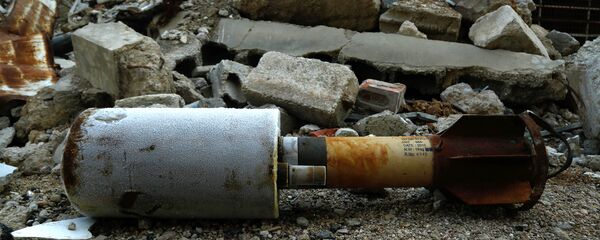 化学武器 - 俄罗斯卫星通讯社